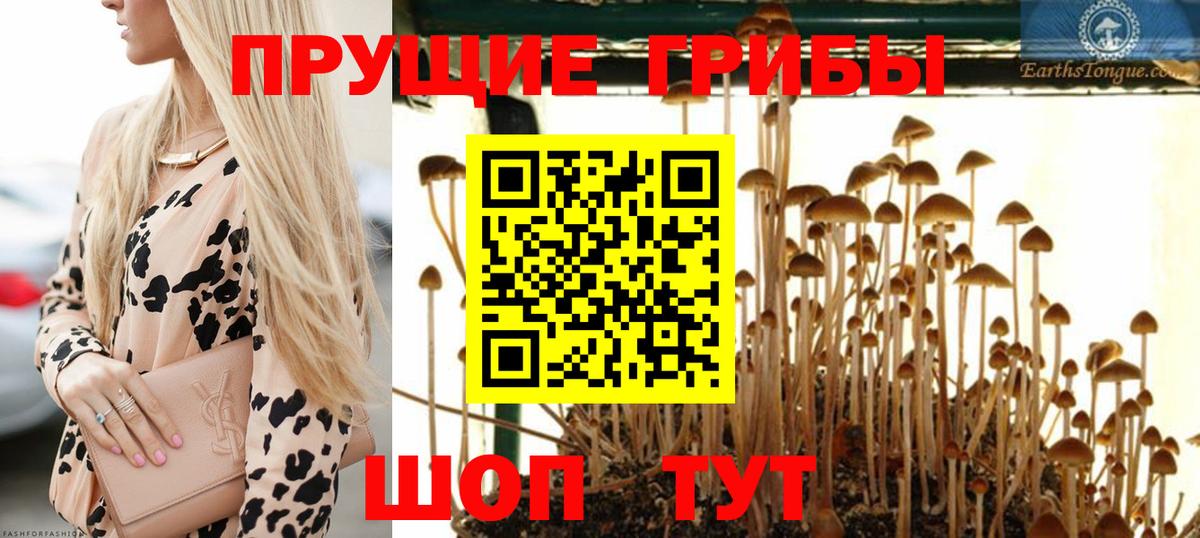 Галлюциногенные грибы мухоморы  Вход с VPN  Каменск-Шахтинский 